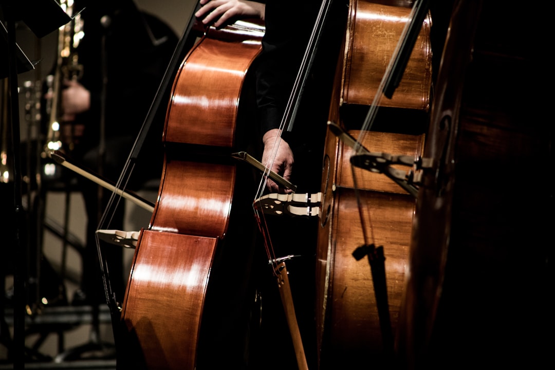 Photo Musician performing